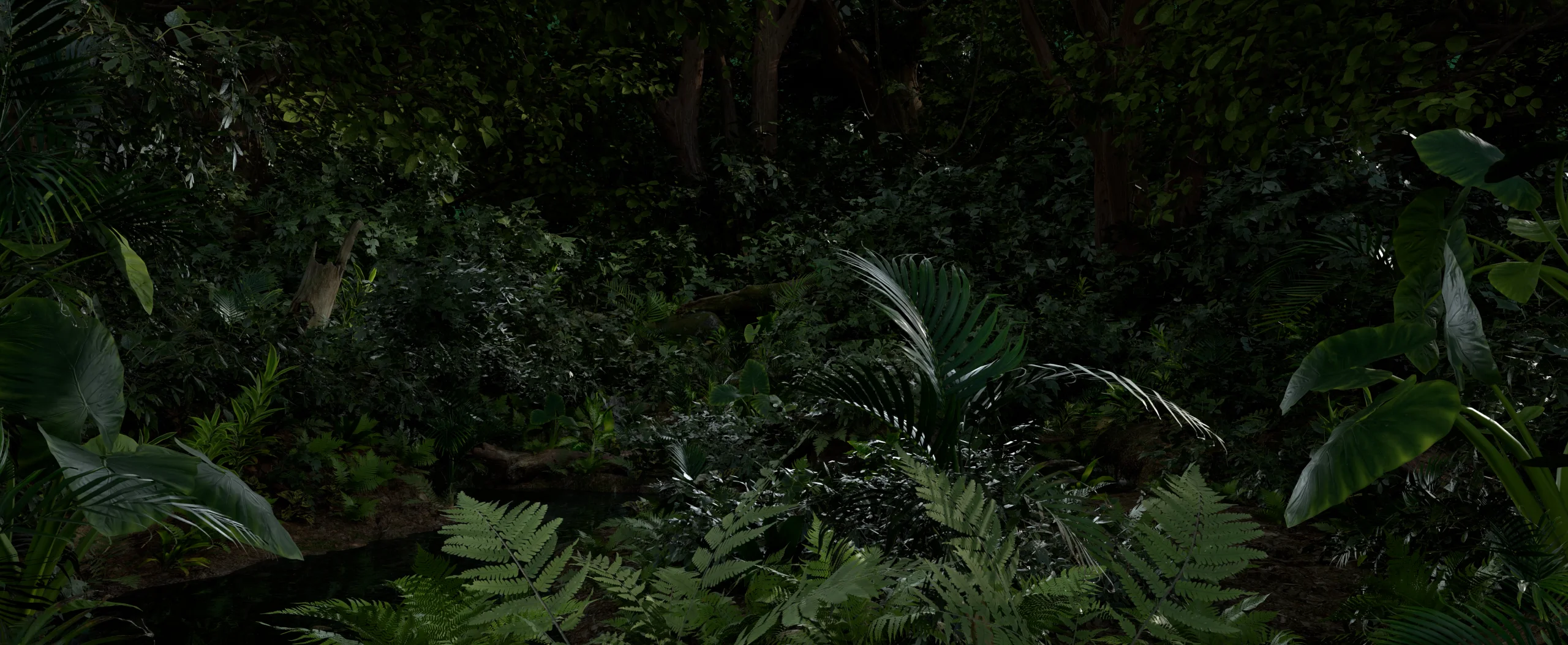 SPA_Image_Comparison_05_Before